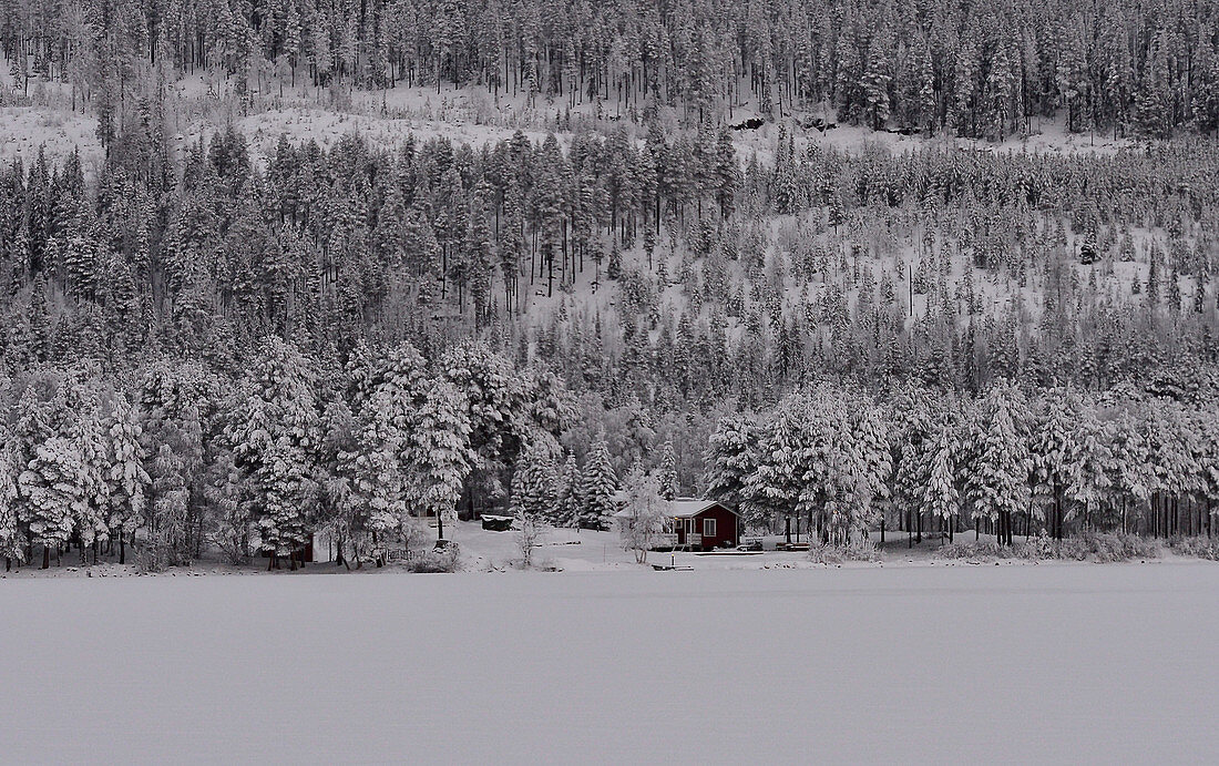 Lonely hut in the snowy landscape in winter, Hällnäs, Lapland, Sweden
