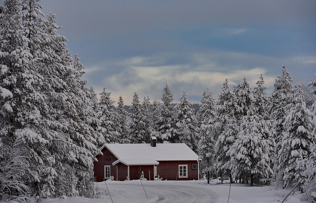 Kleines Holzhaus in tief verschneiter Winterlandschaft, Arjeplog, Lappland, Schweden
