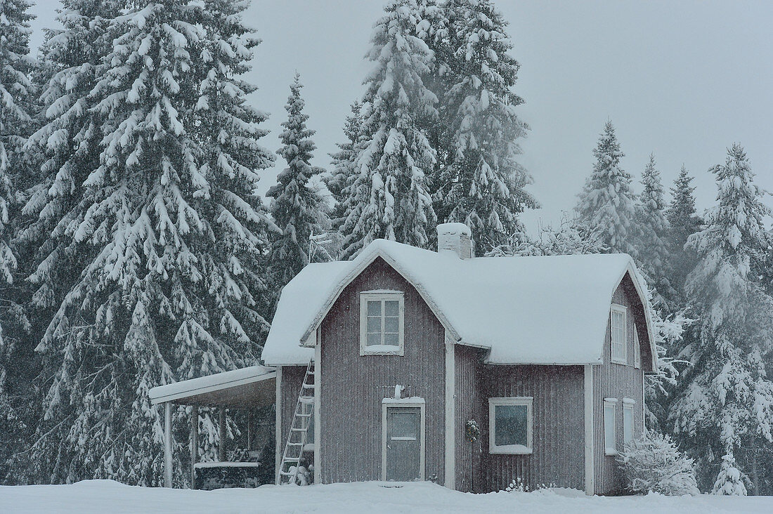 Verlassenes Schwedenhaus im winterlichen Lappland, Springliden, Schweden