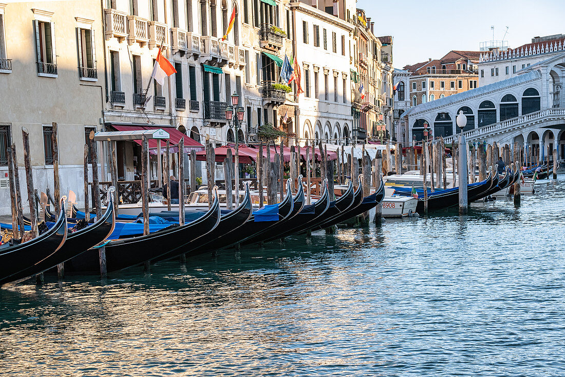 Bick auf die Gondeln an der Rialto Brücke am Canale Grande, Venedig, Venetien, Italien, Europa