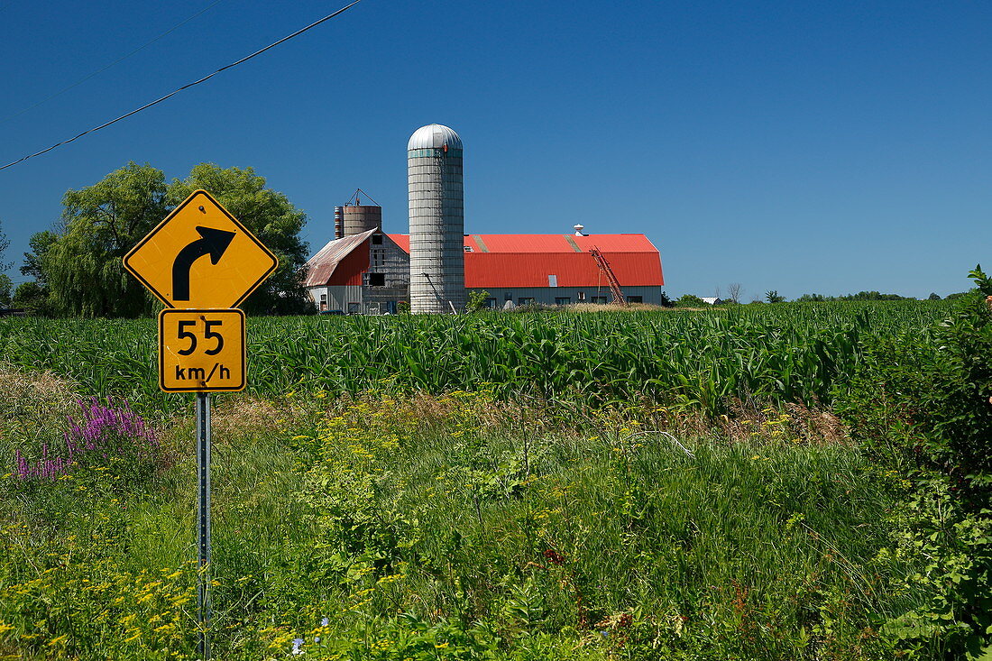 Farm in a cornfield, Quebec, Canada