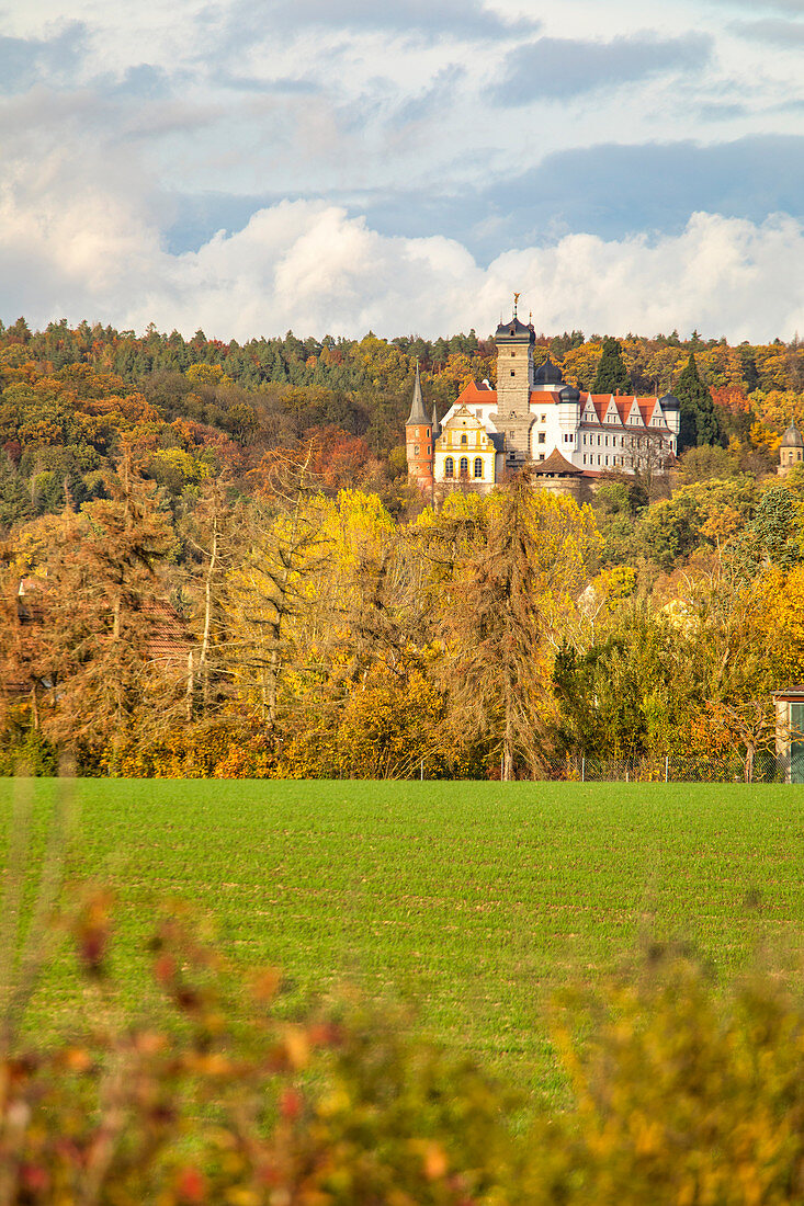 Schwarzenberg Castle in autumn, Scheinfeld, Neustadt an der Aisch, Middle Franconia, Franconia, Bavaria, Germany, Europe