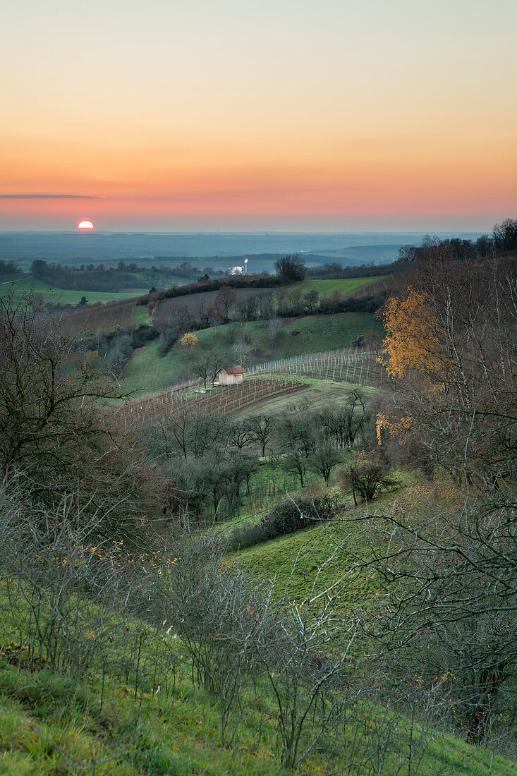 Evening at Vogelsang near Markt Einersheim, Kitzingen, Lower Franconia, Franconia, Bavaria, Germany, Europe