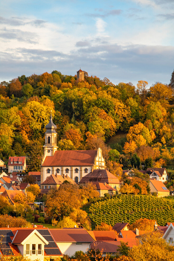 View of Castell in autumn, Kitzingen, Lower Franconia, Franconia, Bavaria, Germany, Europe