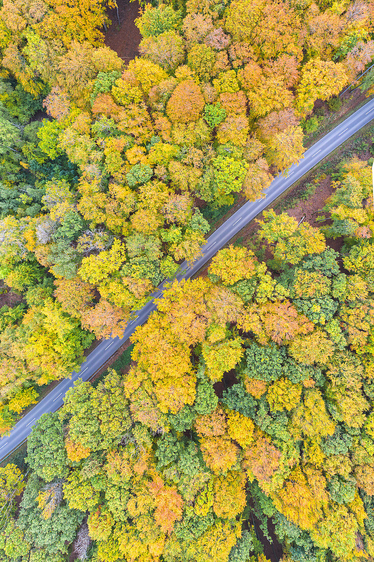 Kreisstrasse im Naturpark Steigerwald, Abtswind, Kitzingen, Unterfranken, Franken, Bayern, Europe