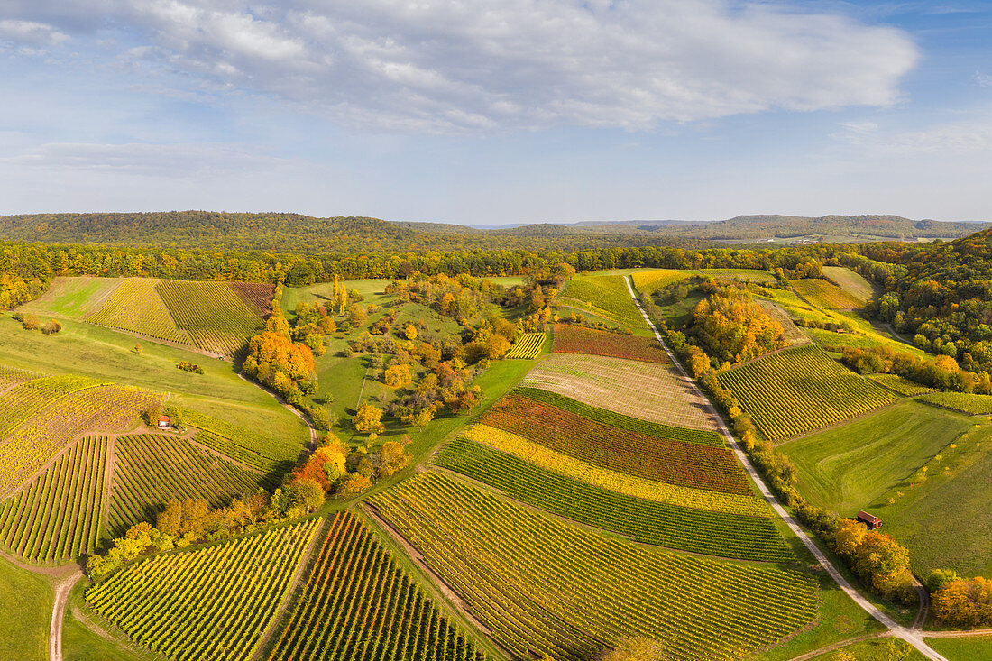 Weinlage Vogelsang im südlichen Steigerwald, Markt Einersheim, Iphofen, Kitzingen, Unterfranken, Franken, Bayern, Deutschland, Europa