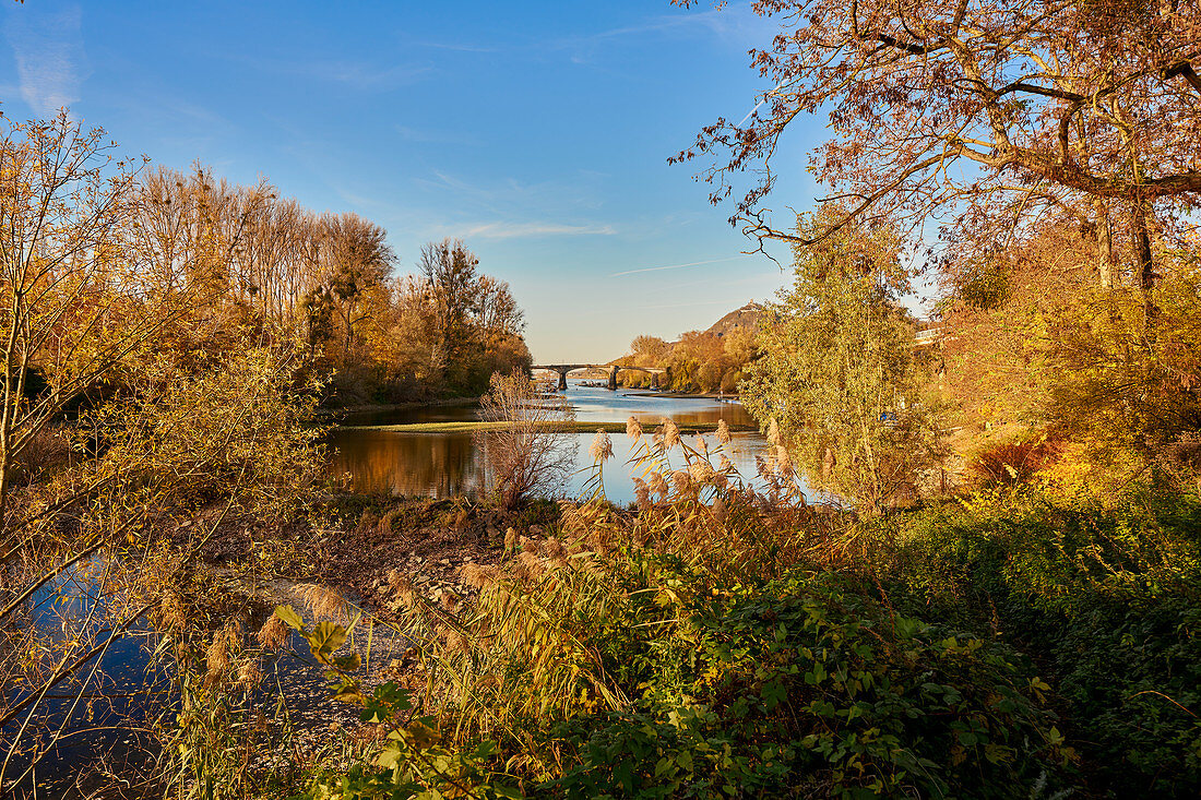 The Rhine near Bad Honnef in autumn, North Rhine-Westphalia, Germany