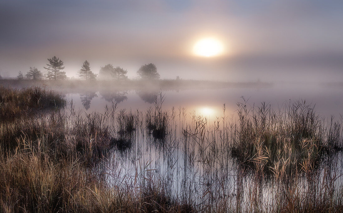 Sunrise in autumn with fog at Ostersee, Bavaria, Germany