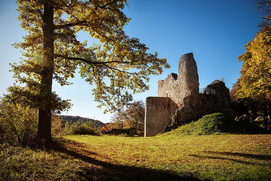 Ruine vom Schloss Falkenstein im Naturpark Oberes Donautal, Donau, Deutschland
