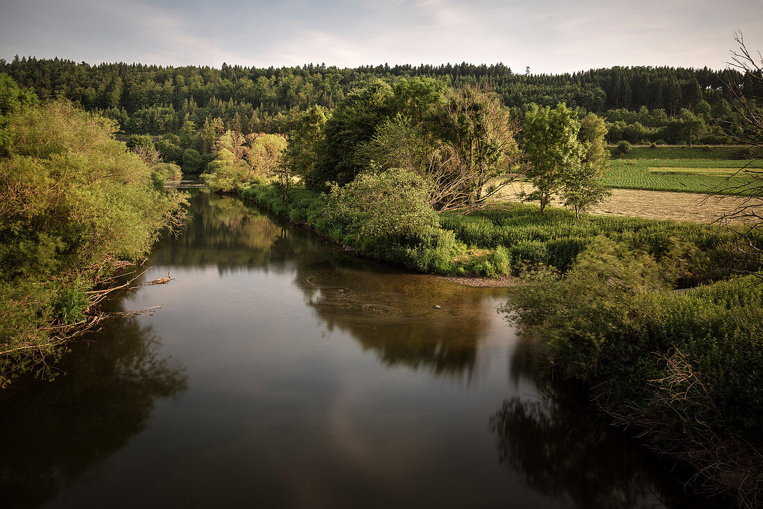 Natural phenomenon of the Danube infiltration between Immendingen and Möhringen, Tuttlingen district, Baden-Württemberg, Danube, Germany