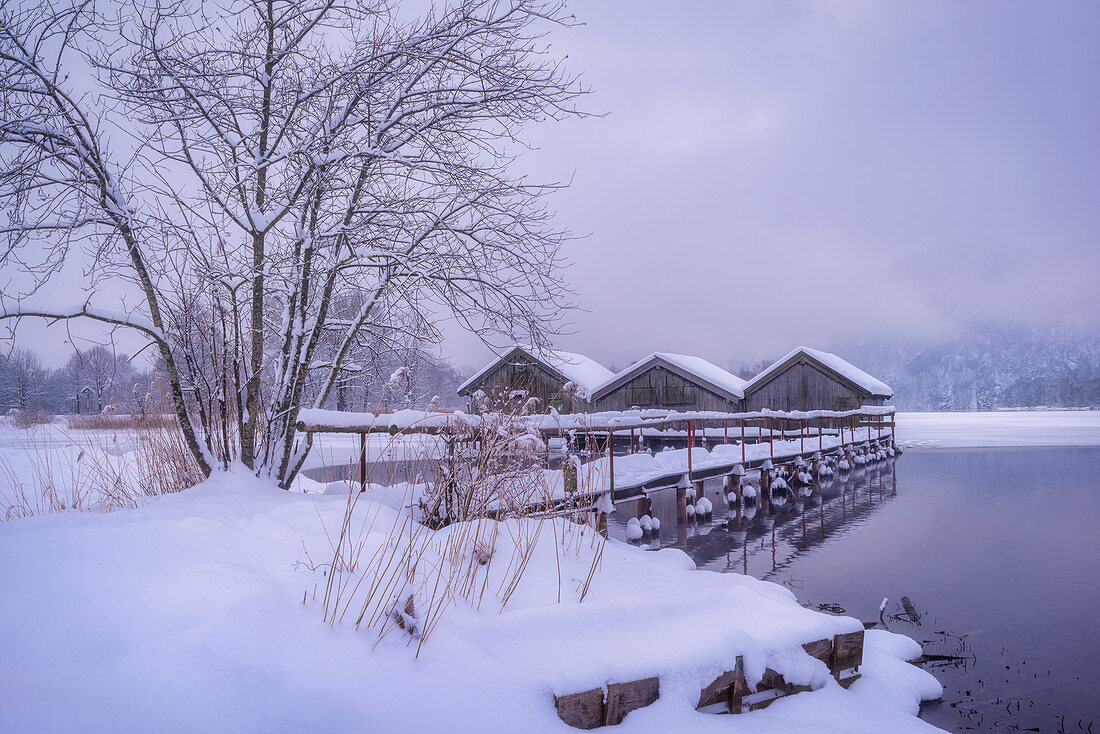 Die Fischerhäuser von Schlehdorf an einem nebligen Wintermorgen, Oberbayern, Bayern, Deutschland, Europa