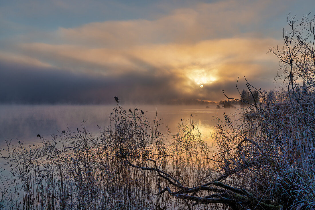 Sonnenaufgang an einem frostigen Morgen am Staffelsee im November, Uffing, Oberbayern, Bayern, Deutschland