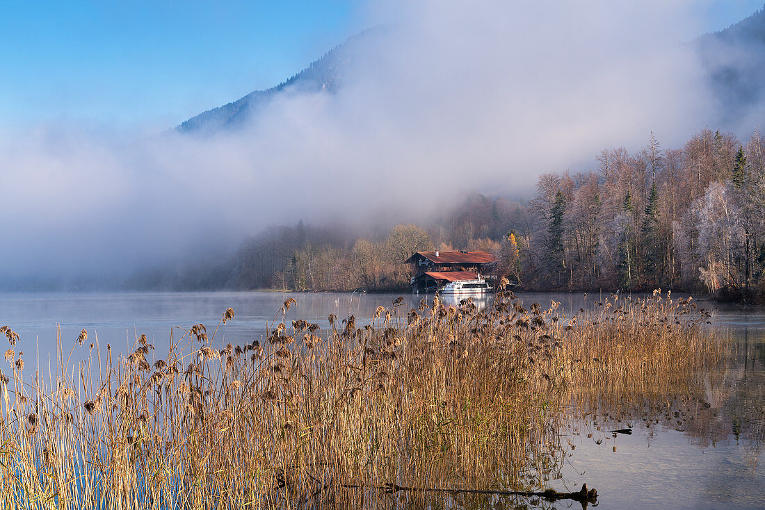 November morning at Kochelsee, Kochel am See, Upper Bavaria, Bavaria, Germany, Europe