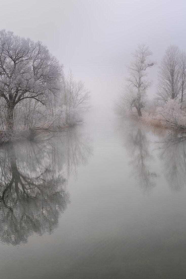 The runoff of the Loisach near Kochel am See in the morning in November, Bavaria, Germany, Europe