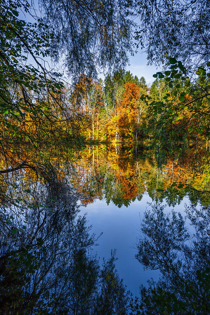 Herbst an den Thanninger Weihern, Oberbayern, Bayern, Deutschland, Europa