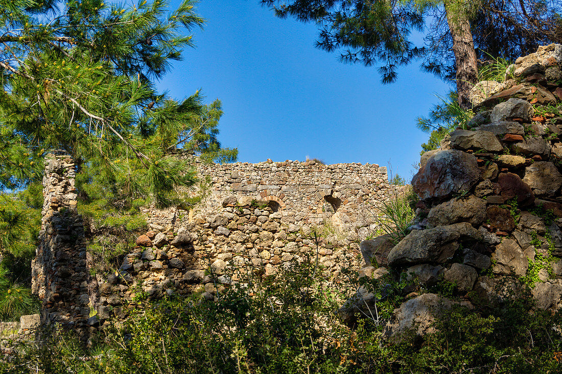 In the ruins of Syedra, Alanya, Turkish Riviera, Mediterranean Region, Asia Minor, Turkey