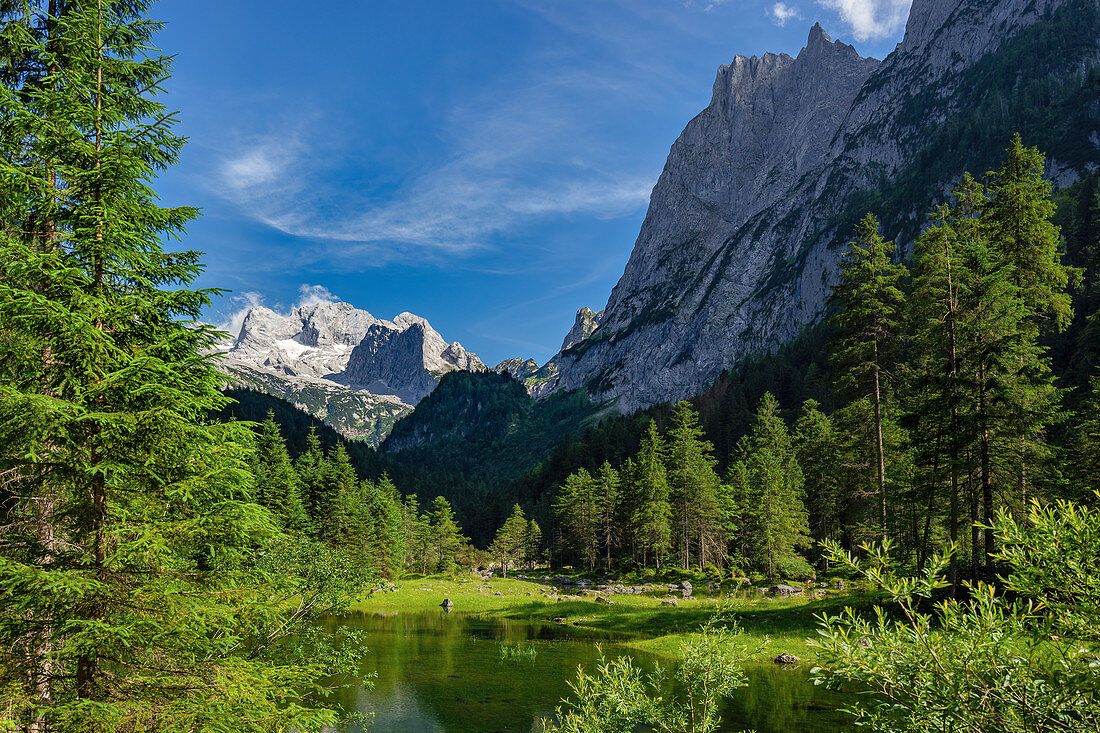 At the Gosaulacke with a view of the Dachstein massif, Gosau, Gosauseen, Upper Austria, Austria, Europe