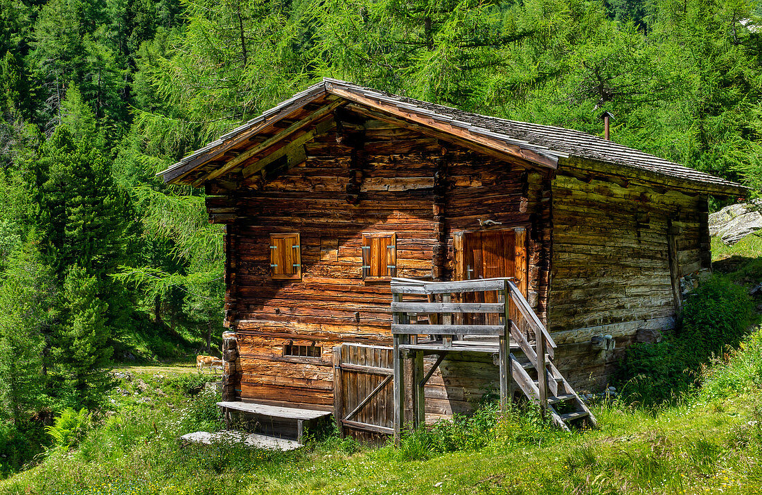 Old alpine hut in East Tyrol, Austria, Europe