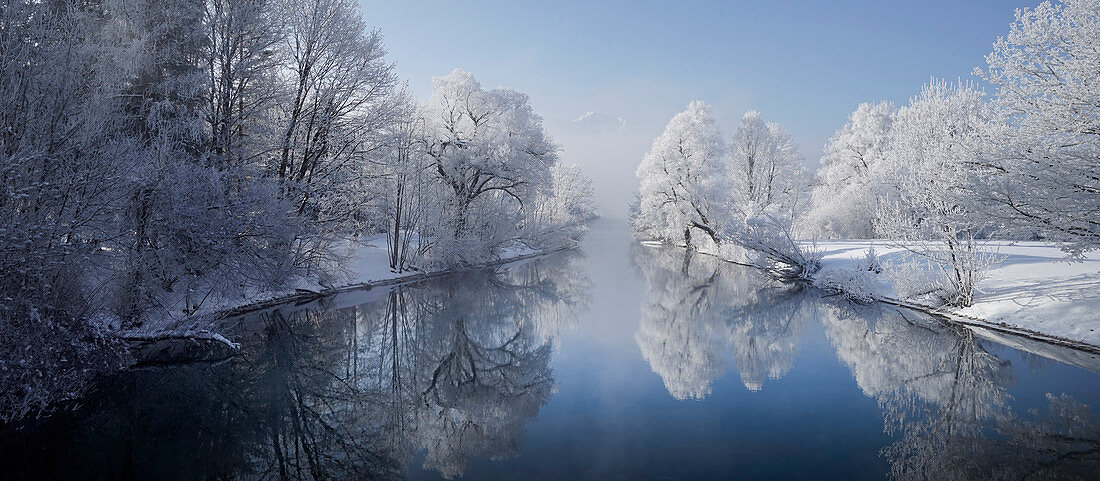 Raureif am Loisachablauf bei Kochel am See, Kochelsee, Bayern, Deutschland