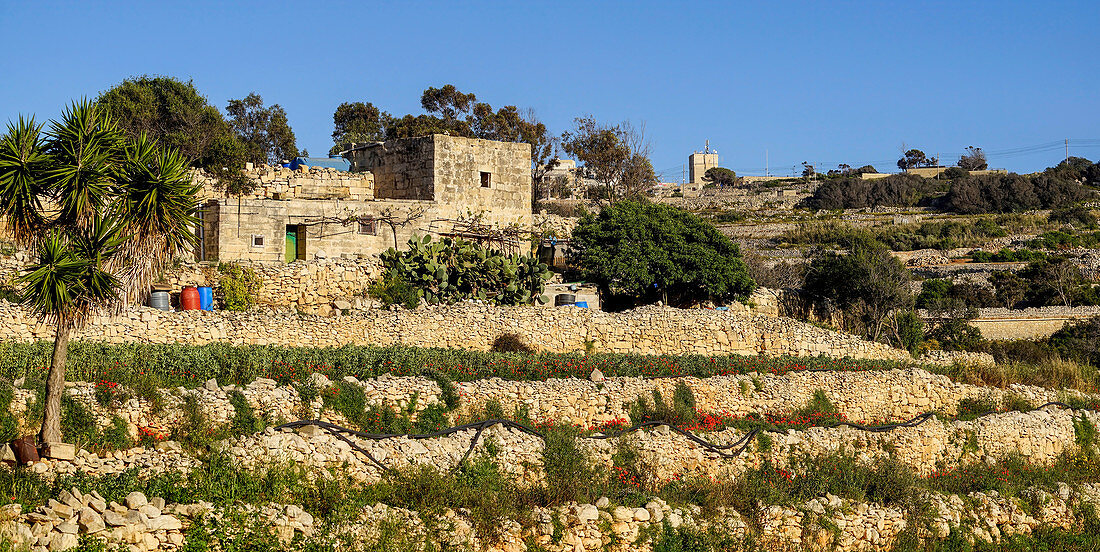 Gärten außerhalb von Valletta, Malta, Mittelmeer, Europa