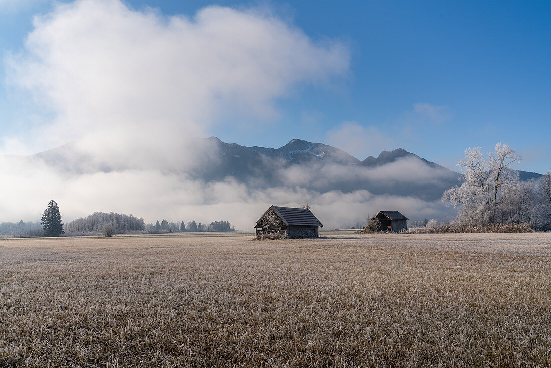 Old barns in Kochelmoos in the morning mist in November, Kochel am See, Upper Bavaria, Bavaria, Germany, Europe