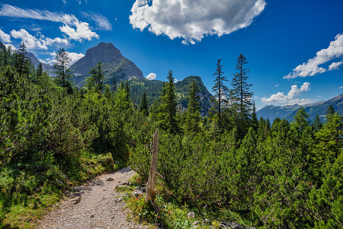 On the way to Sonnenspitze, Ehrwald, Tyrol, Austria, Europe