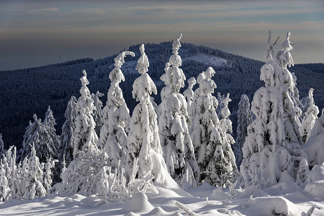 Exceptional fairytale landscape on the Feldberg, Taunus, Hesse, Germany.