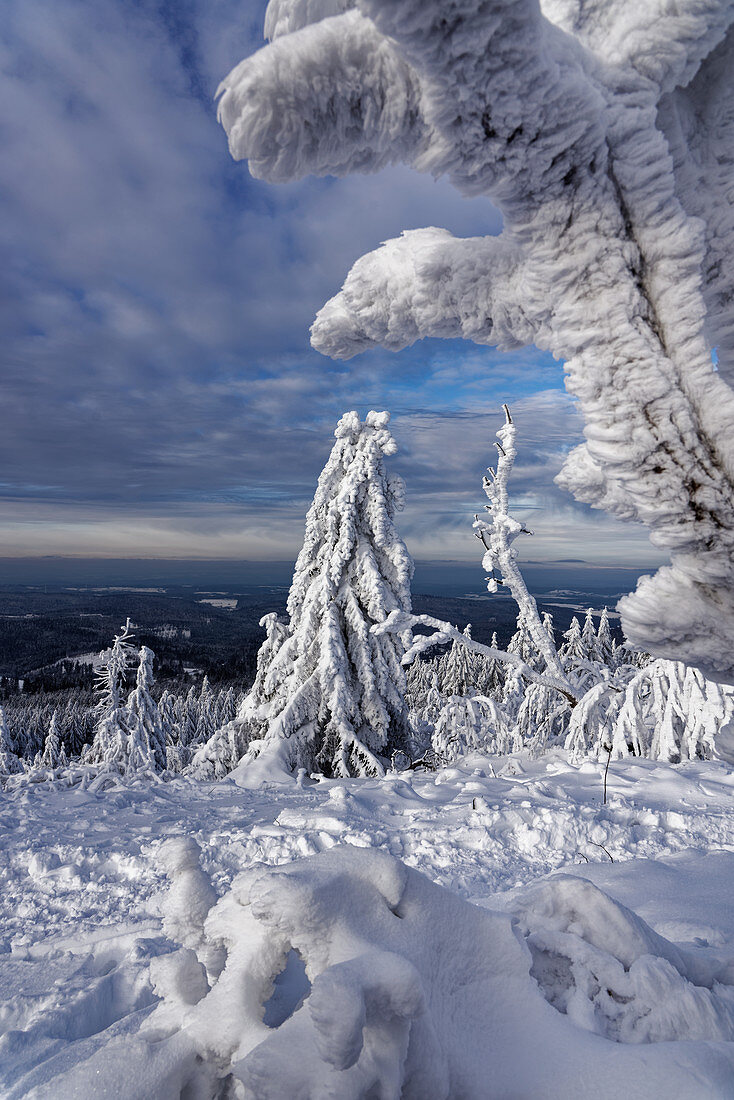 Winterliche Märchenlandschaft, Großer Feldberg, Taunus, Hessen, Deutschland