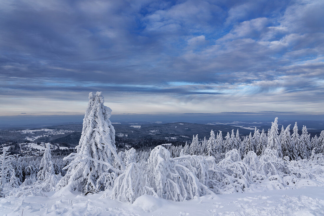 Exceptional fairytale landscape on the Feldberg, Taunus, Hesse, Germany.