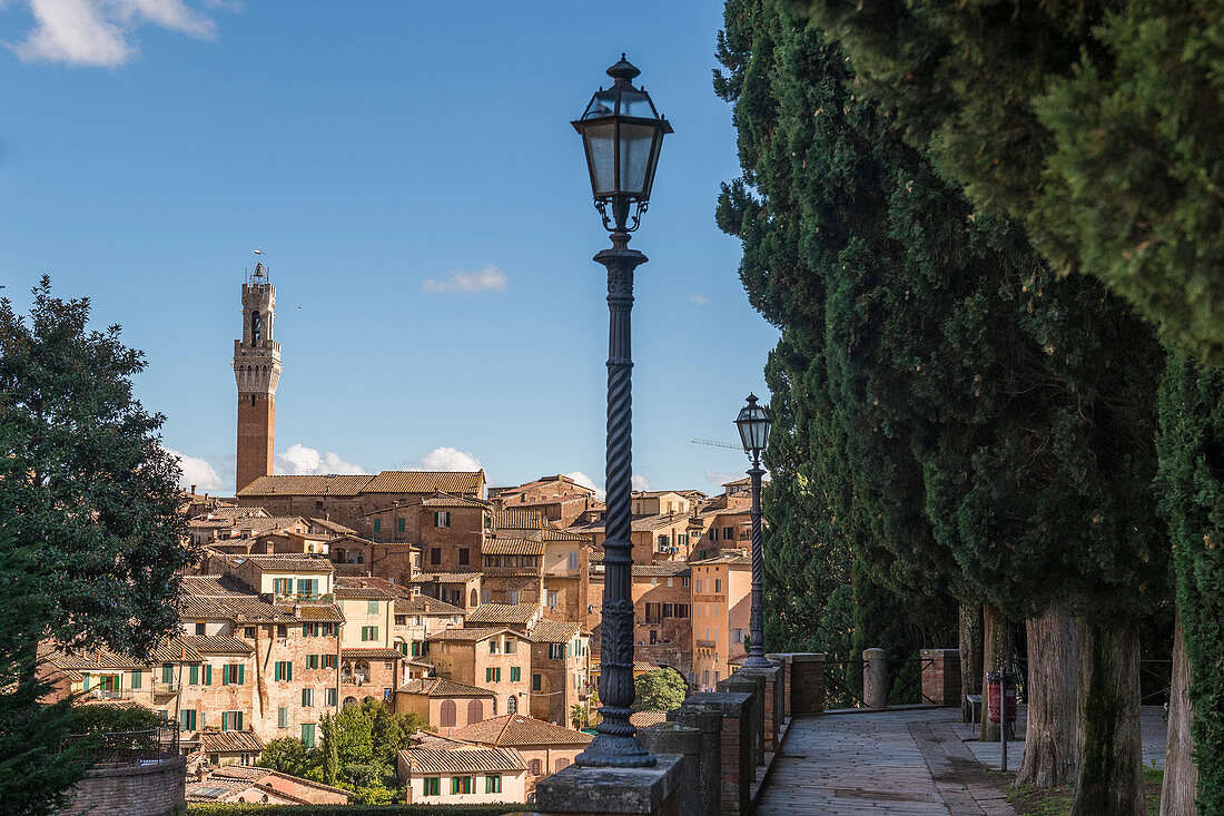 Torre del Mangia in Siena, Province of Siena, Tuscany, Italy