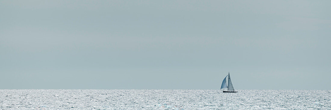 Sailboat in front of the coast, Castiglione della Pescaia, Tuscany, Italy