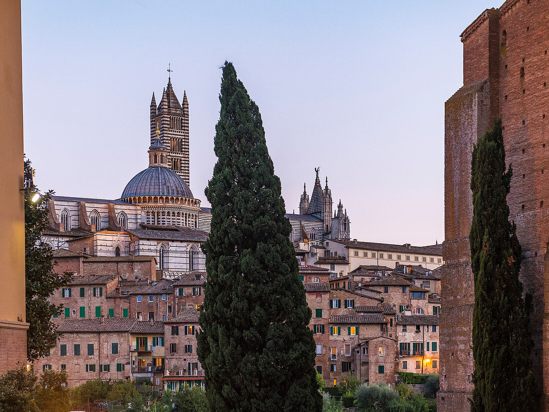 Siena Cathedral in the evening, Province of Siena, Tuscany, Italy
