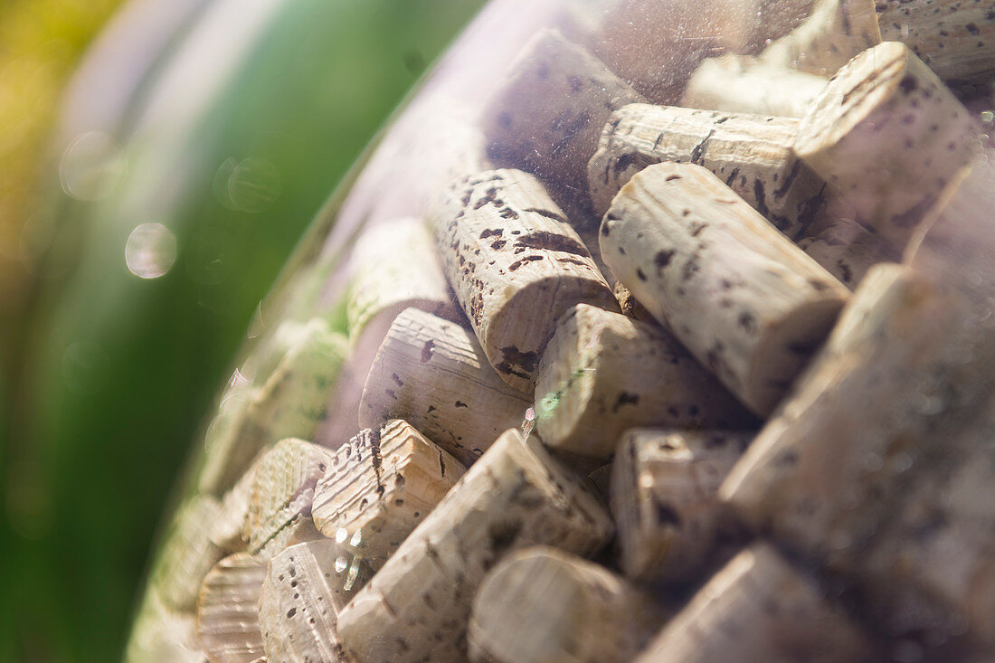 Wine corks behind glass, Tuscany, Italy