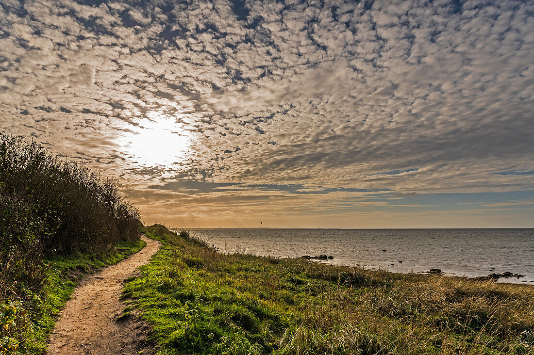 Hiking trail on the steep coast of Gold on Fehmarn, Baltic Sea, Ostholstein, Schleswig-Holstein, Germany