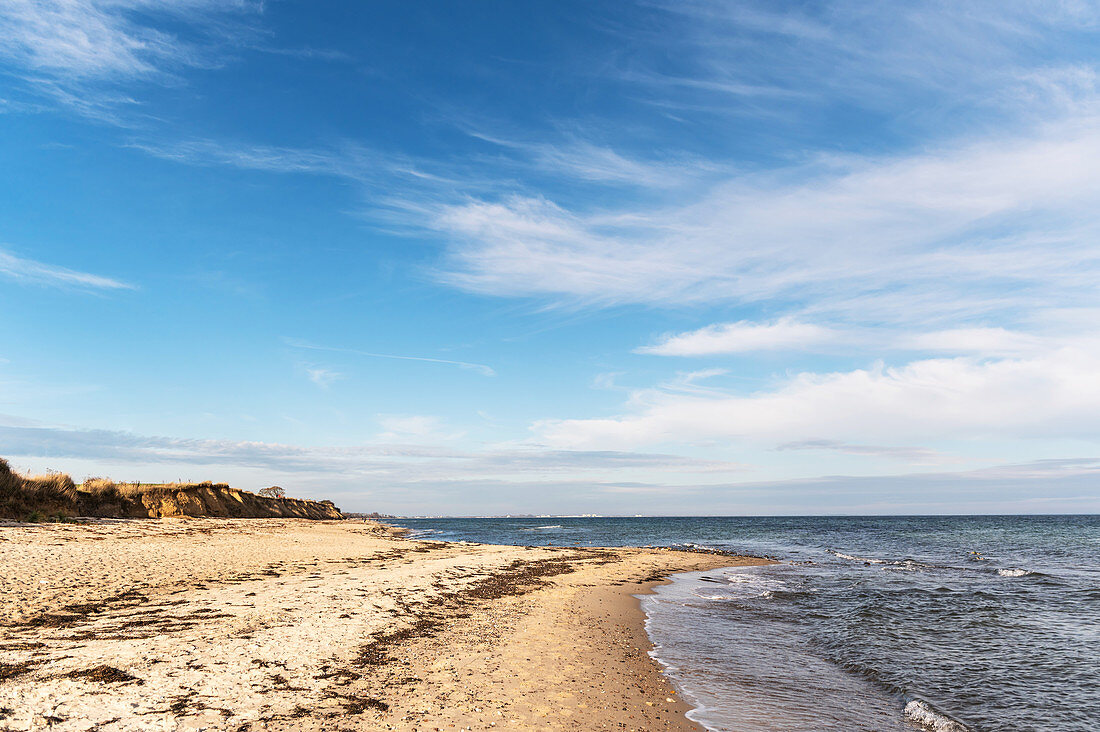 View of the steep coast of Siggen, Baltic Sea, Ostholstein, Schleswig-Holstein, Germany