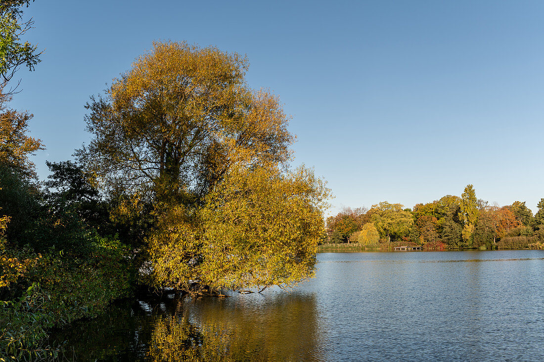 Blick auf den großen Eutiner See, Naturpark Holsteinische Schweiz, Ostholstein, Schleswig-Holstein, Deutschland