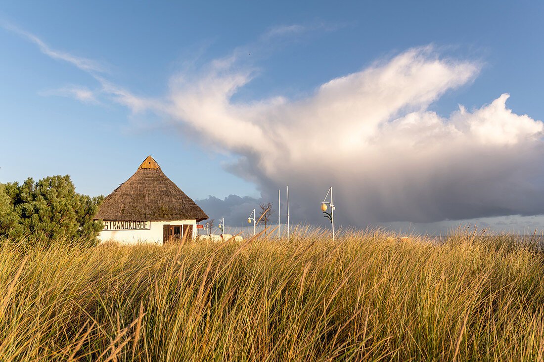 Reetkate Strandkorbvermietung am Strand in Dahme, Ostsee, Ostholstein, Schleswig-Holstein, Deutschland