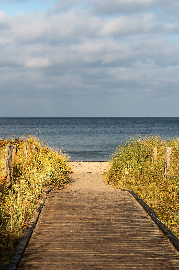 Weg zum Strand in Weissenhaus, Ostsee, Ostholstein, Schleswig-Holstein, Deutschland