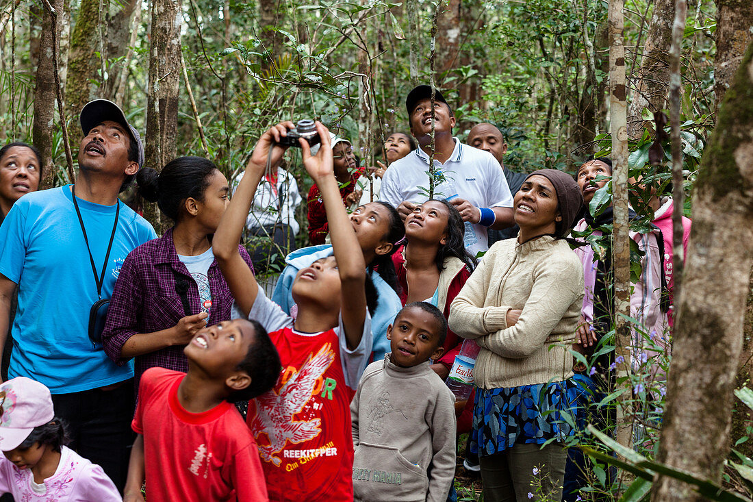 Touristen im Regenwald von Ranomafana, Ranomafana Nationalpark, Madagaskar, Afrika