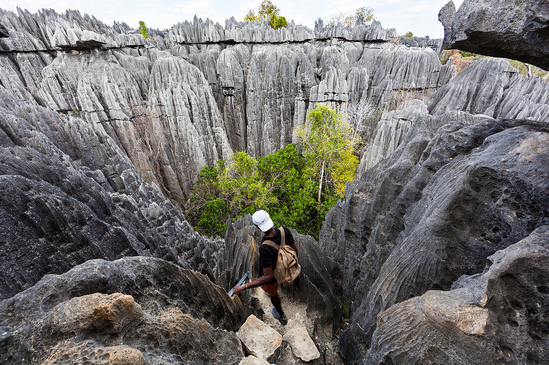 Karst landscape Tsingy de Bemaraha, Tsingy-de-Bemaraha National Park, Mahajanga, Madagascar, Africa