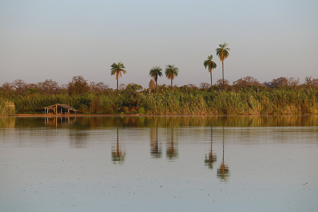 Gambia; Central River Region; Gambia-Fluss bei Kuntaur; Blick auf das westliche Ufer; Schatten spendende Hütte und Haltestelle für das Fährboot