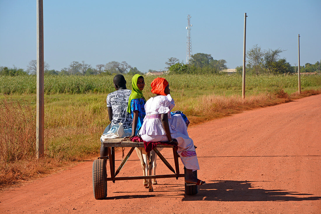 Gambia; Central River Region; Kuntaur; zwei Frauen mit Kopfbedeckung und ein Mann auf einem Eselskarren; auf der Straße nach Kuntaur