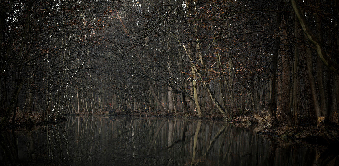 Winterliche Flusslandschaft zur blauen Stunde im Spreewald, Deutschland, Brandenburg