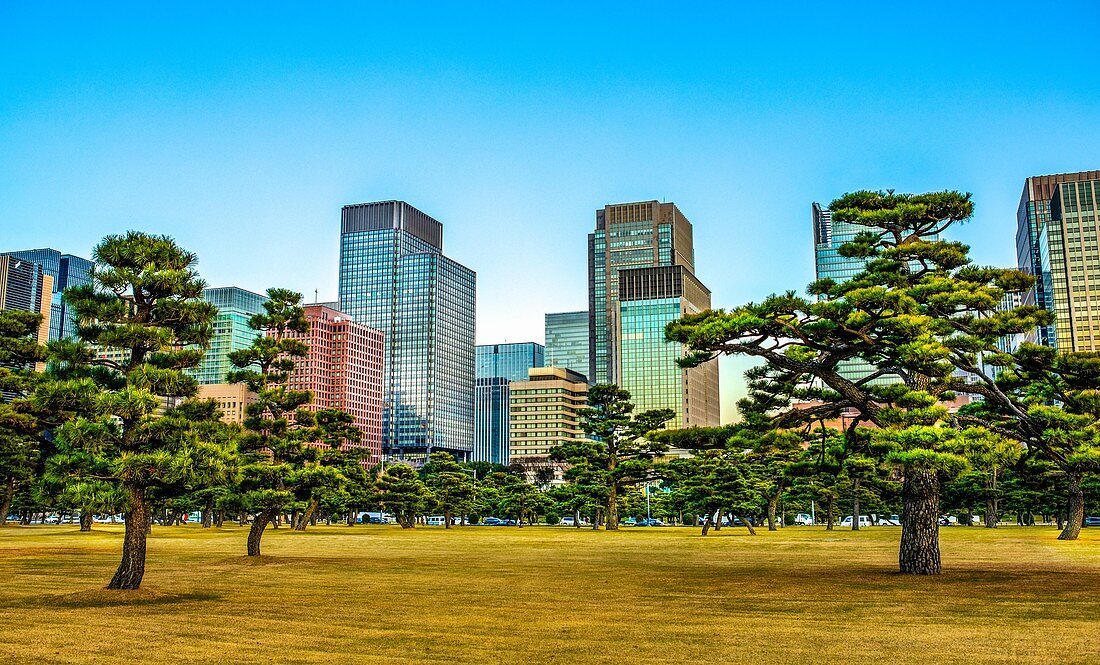 Japan, Stadt Tokio, Skyline von Marunouchi