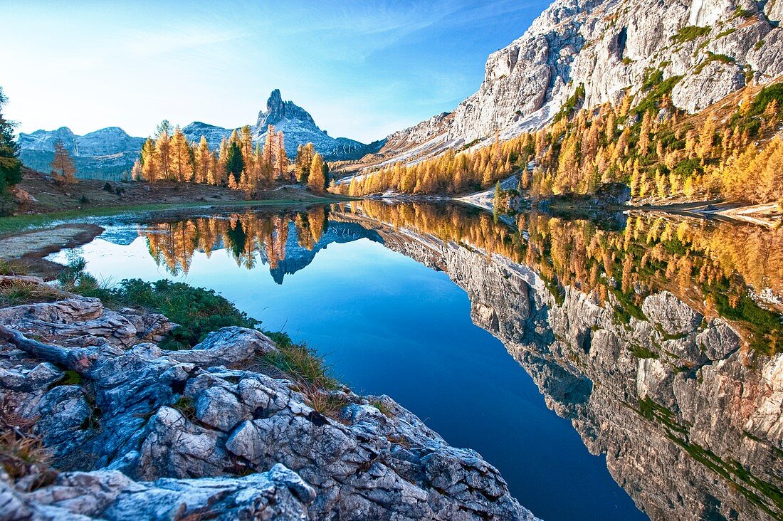 Reflection of the Becco di Mezzodi in the Lake Federa - Dolomites of Belluno Trentino Alto Adige Italy Europe