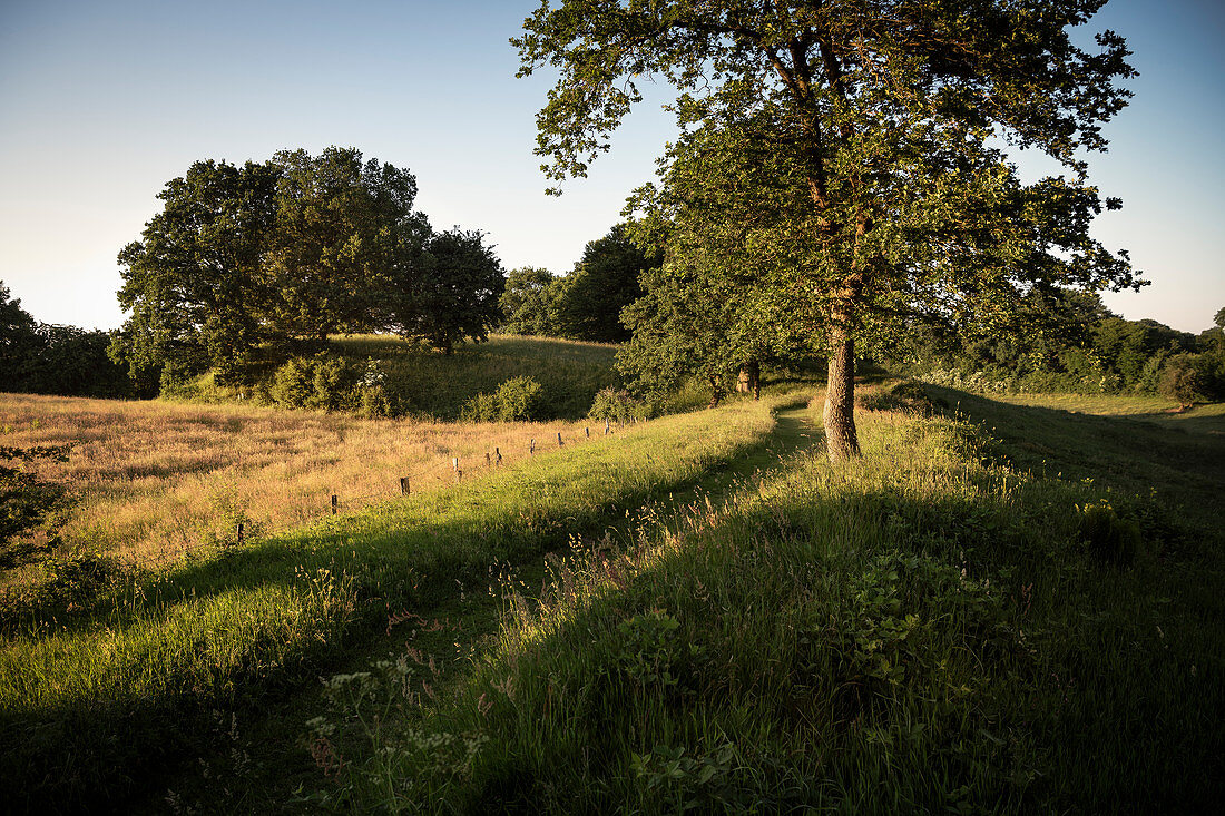 UNESCO World Heritage Site “Archaeological Border Complex Haithabu and Danewerk”, Thyraburg, Dannevirke, Schleswig-Holstein, Germany