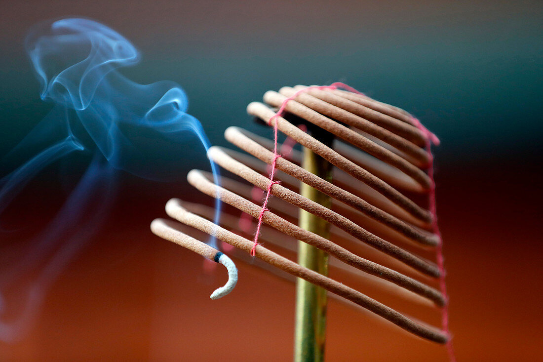 Burning spiral incense sticks in Taoist ceremony, Mau Son Taoist temple, Sapa, Vietnam, Indochina, Southeast Asia, Asia