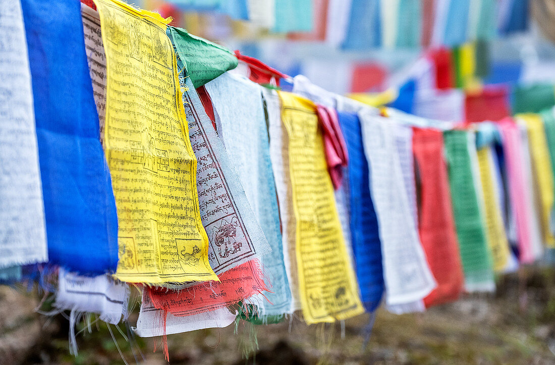 Prayer flags hung to carry people's prayers throughout the land of Bhutan, Asia