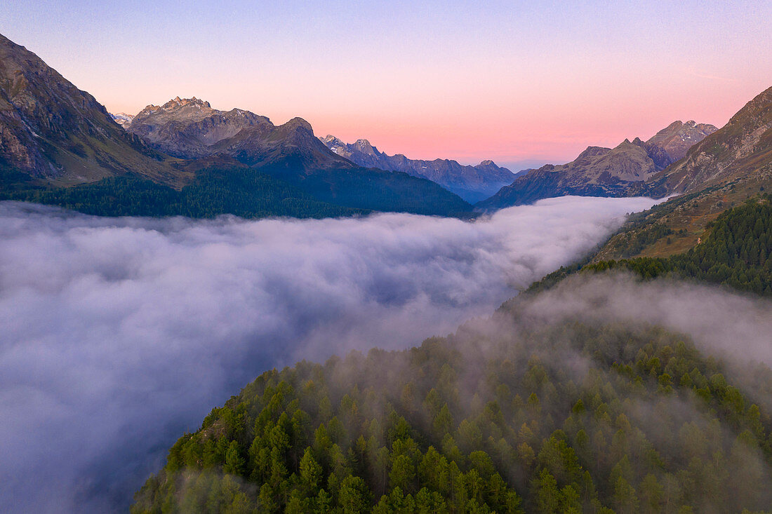 Nebliger Sonnenaufgang über Wäldern des Maloja-Passes im Morgengrauen, Luftaufnahme durch Drohne, Engadin, Kanton Graubunden, Schweiz, Europa