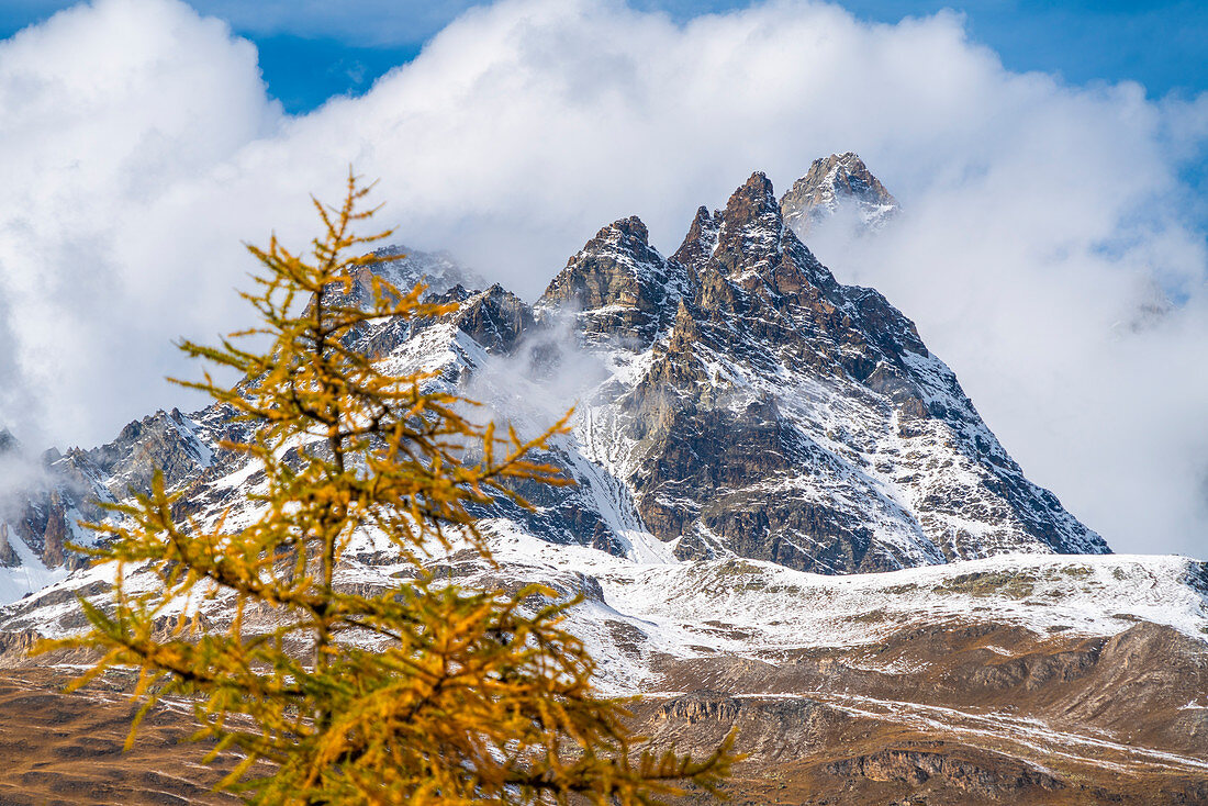 Clouds over the Ober Gabelhorn peak framed by larch trees in autumn, Zermatt, canton of Valais, Swiss Alps, Switzerland, Europe